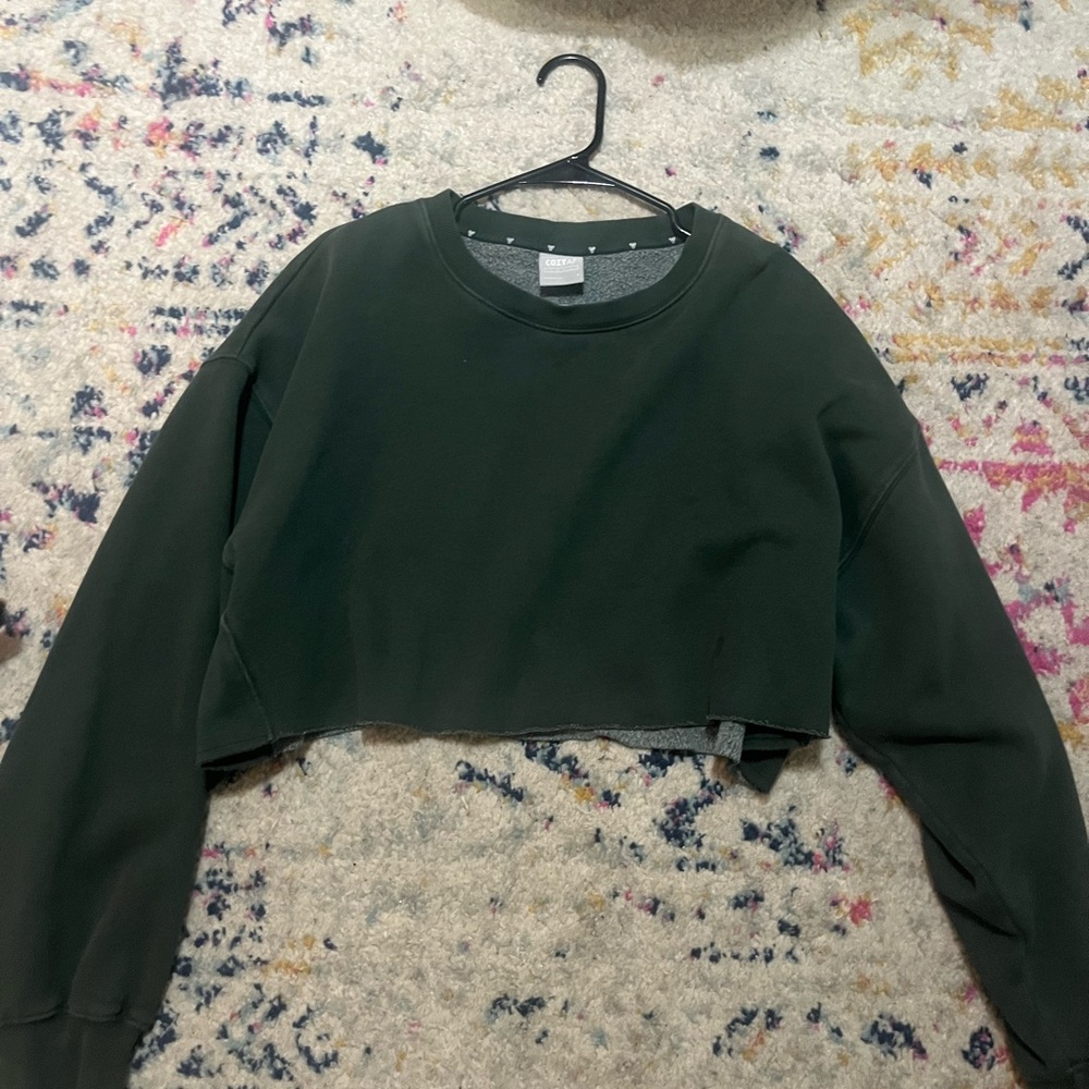 TNA Aritzia Cozy Sweatfleece cropped Crewneck -Size L Scarab